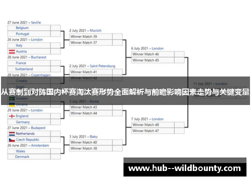 从赛制到对阵国内杯赛淘汰赛形势全面解析与前瞻影响因素走势与关键变量