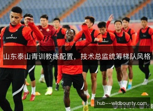 山东泰山青训教练配置，技术总监统筹梯队风格